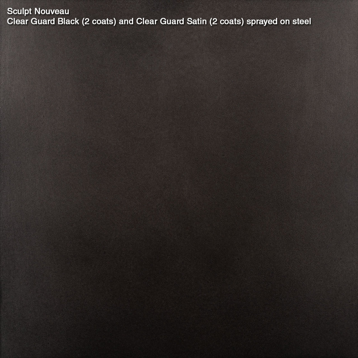 Clear Guard Black – Sculpt Nouveau