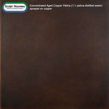 Sample of Sculpt Nouveau Concentrated Aged Copper Patina (1:1 patina:distilled water) on copper