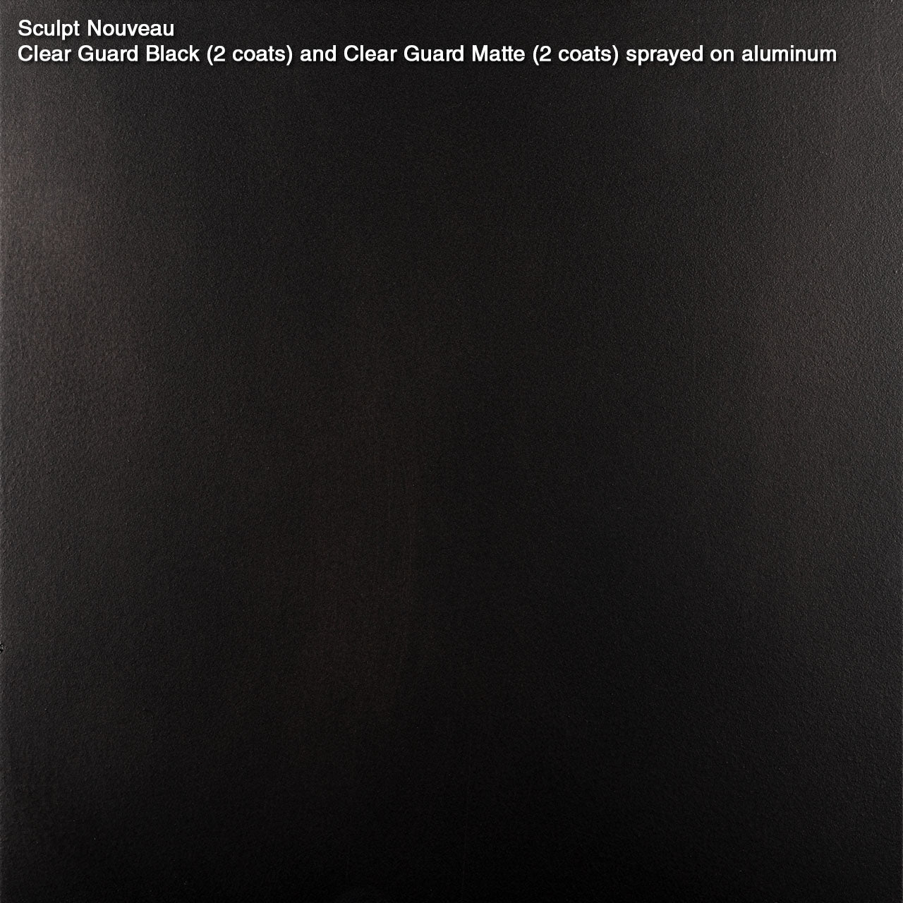 Clear Guard Black – Sculpt Nouveau